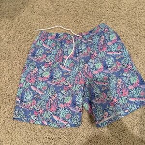 Men's Blue and Pink Swim Shorts